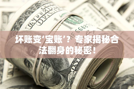 济南坏账变‘宝账’？专家揭秘合法翻身的秘密！