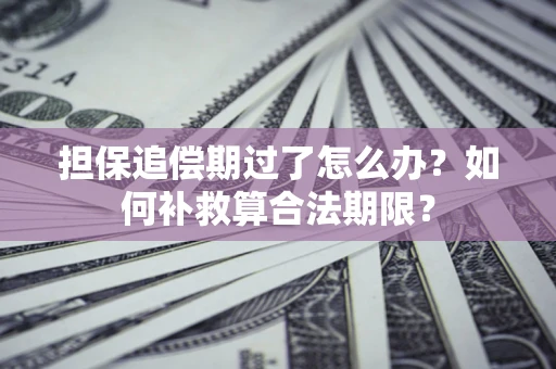 济南担保追偿期过了怎么办？如何补救算合法期限？