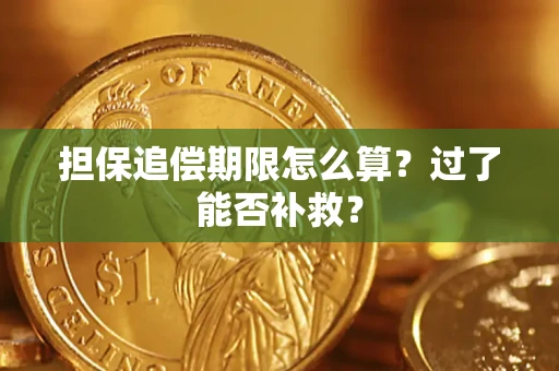 济南担保追偿期限怎么算？过了能否补救？